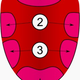 taste bud map